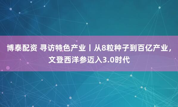 博泰配资 寻访特色产业丨从8粒种子到百亿产业，文登西洋参迈入3.0时代