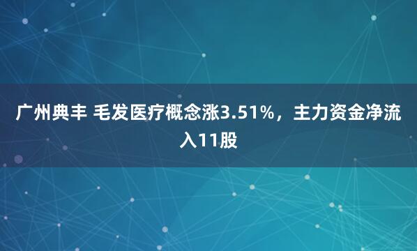 广州典丰 毛发医疗概念涨3.51%，主力资金净流入11股