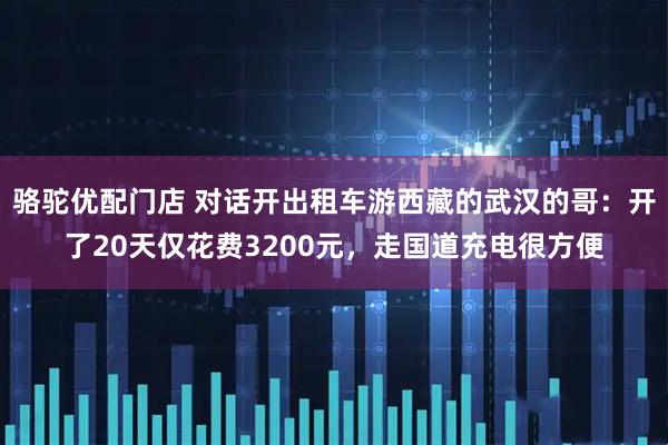 骆驼优配门店 对话开出租车游西藏的武汉的哥：开了20天仅花费3200元，走国道充电很方便